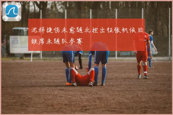 沈梓捷伤未愈随北控出征张帆依旧缺席未随队参赛