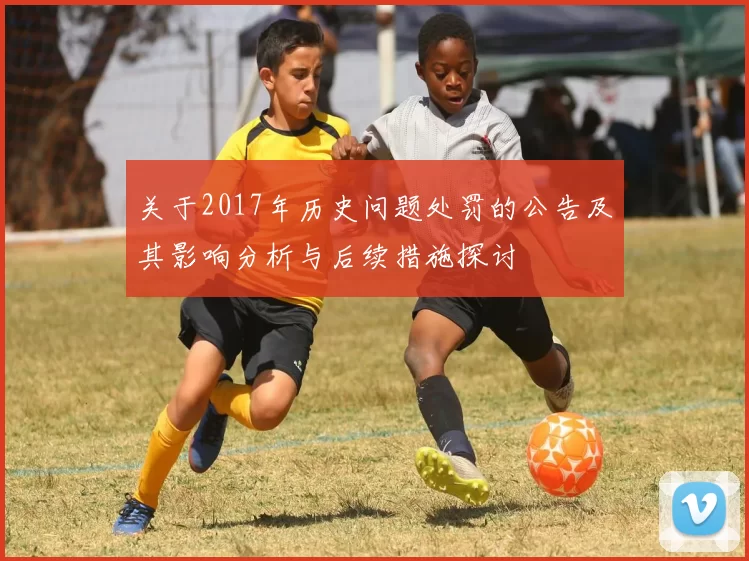 关于2017年历史问题处罚的公告及其影响分析与后续措施探讨